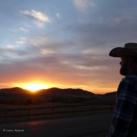 Sunrise at Buffalo Roundup in Custer State Park