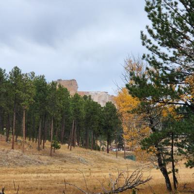 Fall Crazy Horse