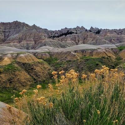 The Colorful Badlands