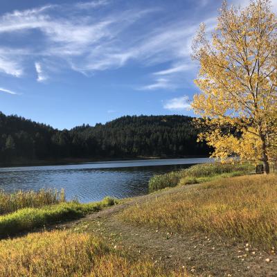 Autumn at Cook Lake  Black Hills Forest