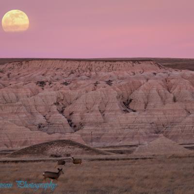 Wolf Moon in Badlands National Park