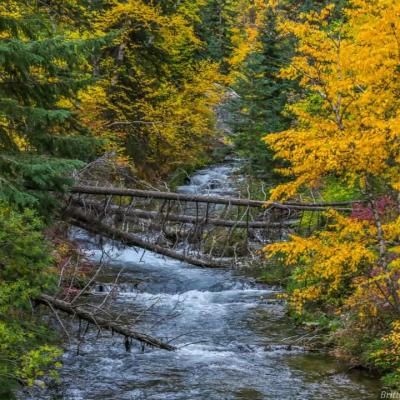 Fall Along Spearfish Creek 