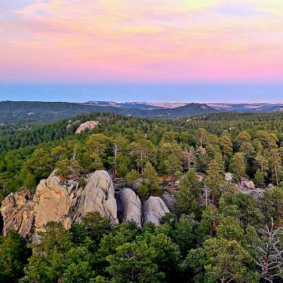 Every Color You Need in the Black Hills