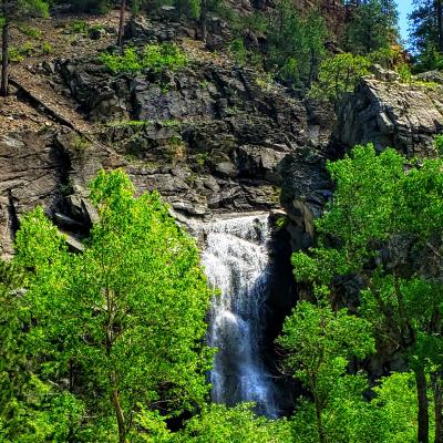 Spearfish Canyon Comes Alive