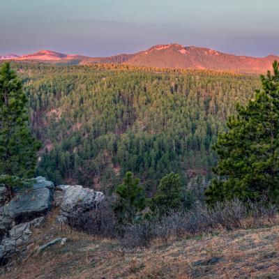 A New Day in the Black Hills