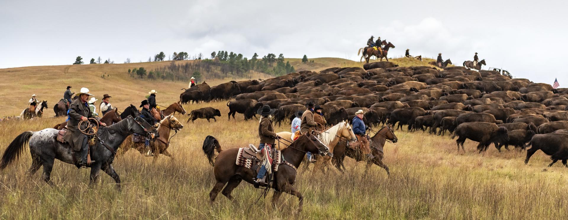 The Best Fall Festivities in the Black Hills and Badlands