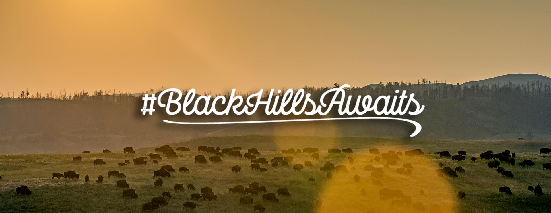 A Peace of Nature | #BlackHillsAwaits