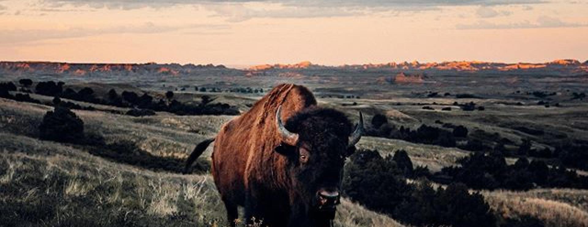 The 5 Most Remarkable Photos of the Black Hills and Badlands in October 2020