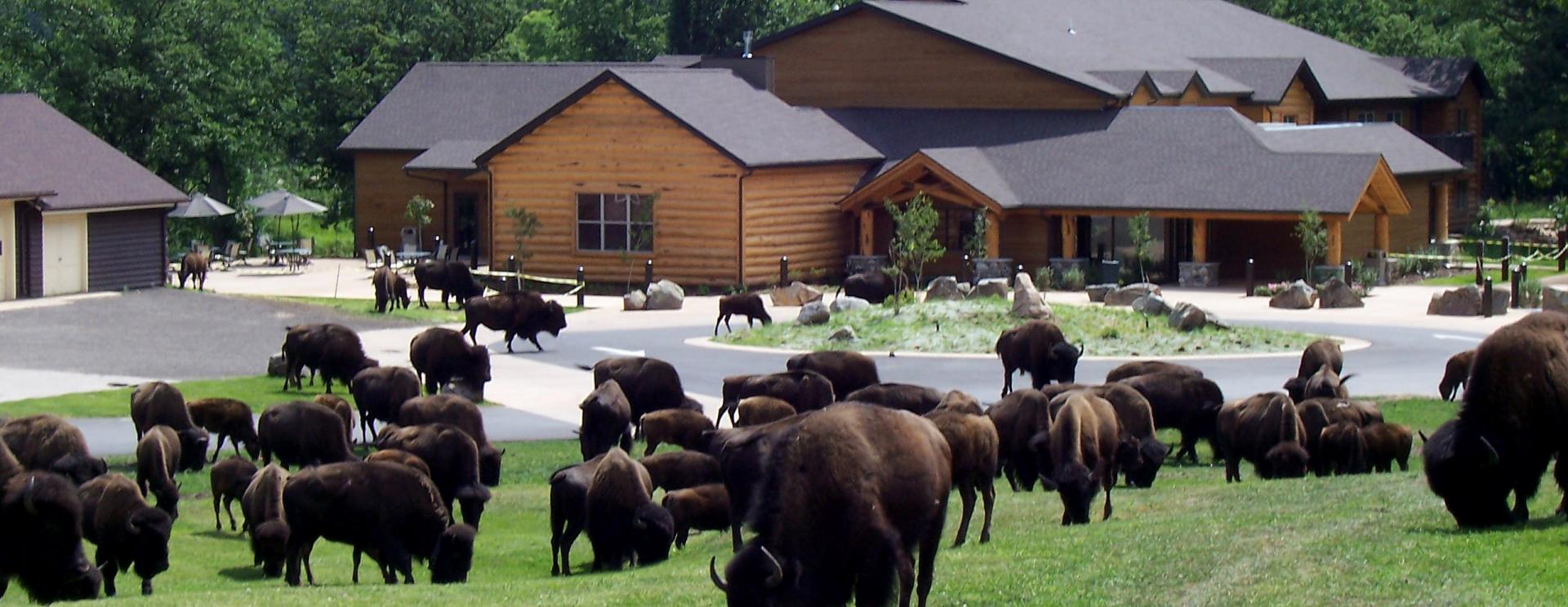 Creekside Lodge at Custer State Park Resort