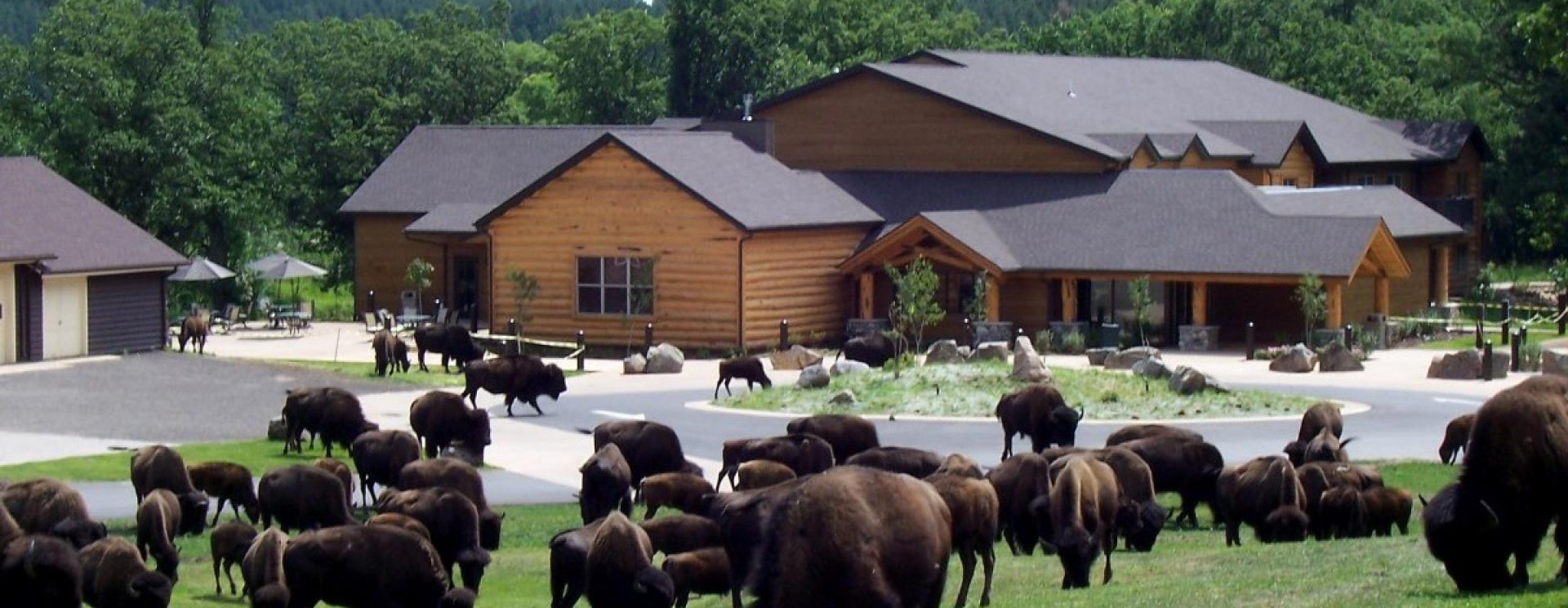 State Game Lodge at Custer State Park
