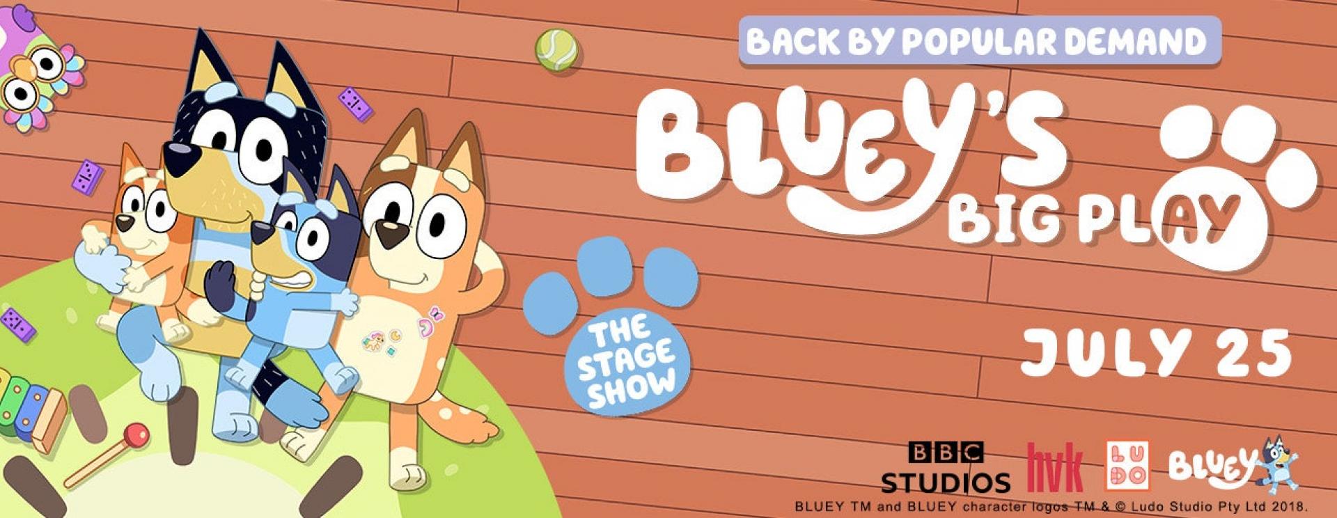 Bluey's Big Play 