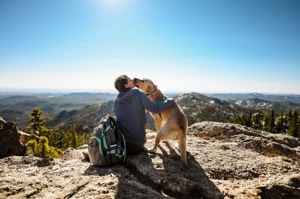 Dog Kisses Are Better With a View 