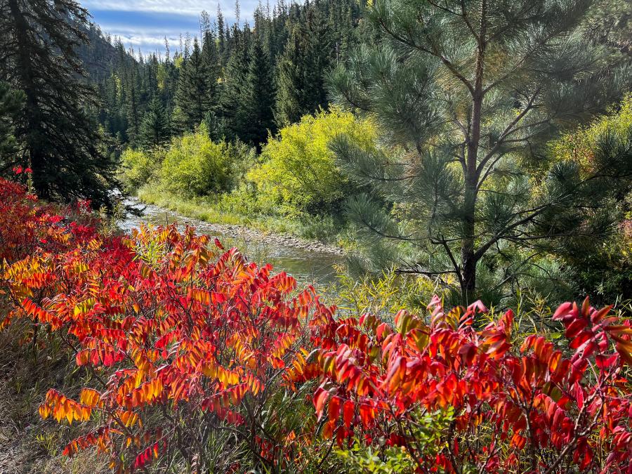 Colors over Rapid Creek