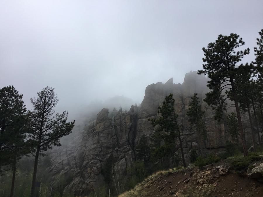 Early Morning Fog Quietly Blanketing the Black Hills