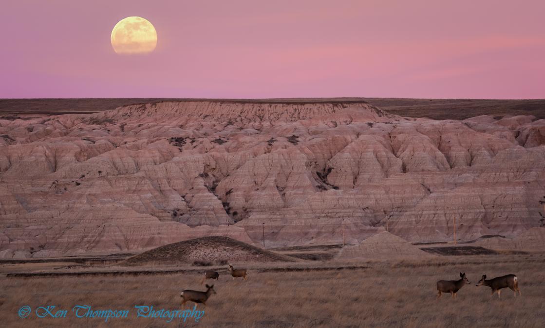 Wolf Moon in Badlands National Park