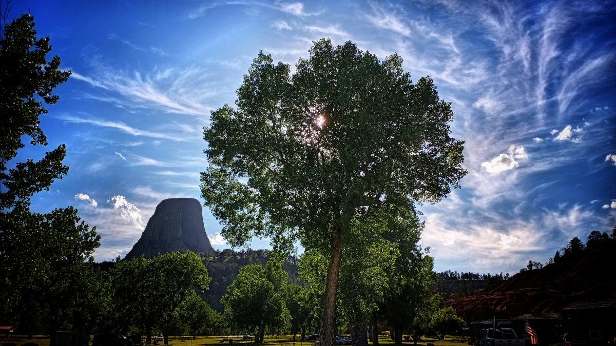 Devils Tower and the Tree That Dwarfed It