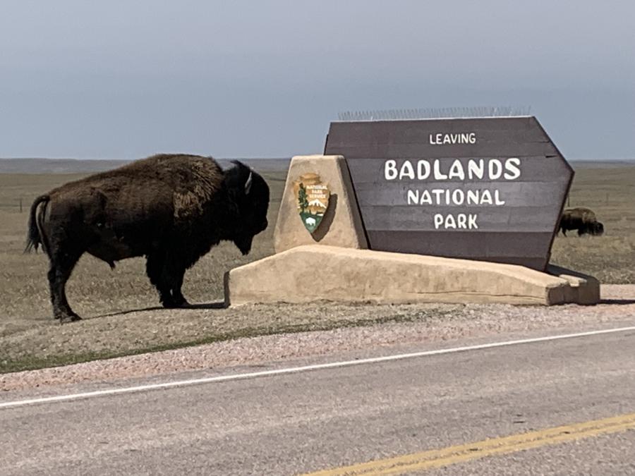 What a Sendoff From the Badlands