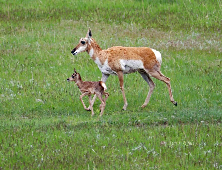 Running With Mom