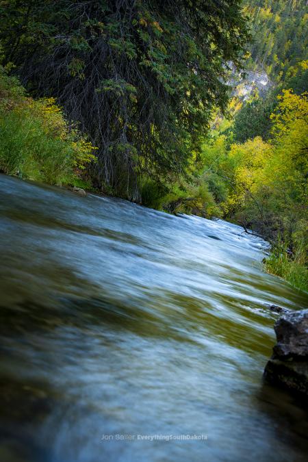 Leaning Towards Fall in Spearfish Canyon