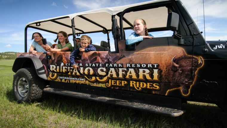 Buffalo Safari Jeep Rides | Custer State Park