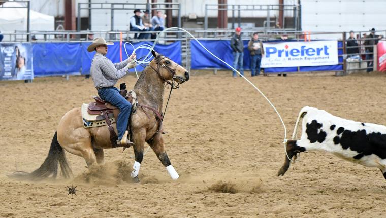 Black Hills Stock Show & Rodeo®