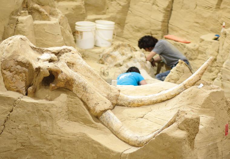 Digging Big in the Black Hills: A Journey Through The Mammoth Site