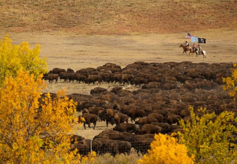 See the Top Photos from the Black Hills and Badlands in 2022