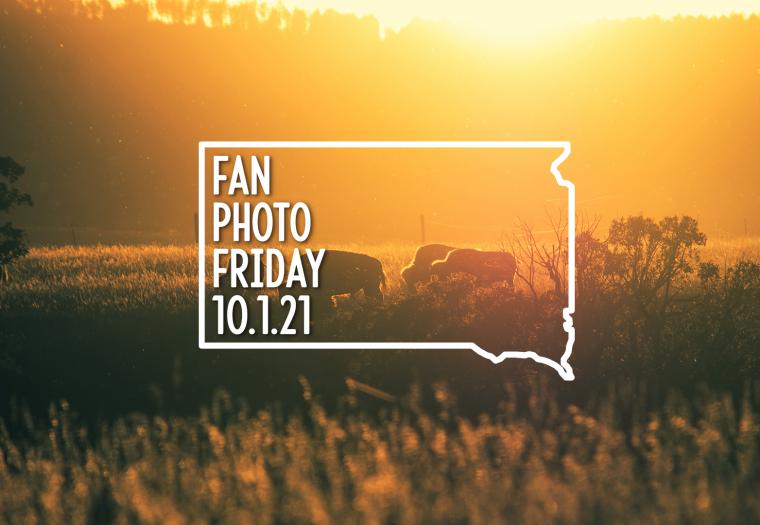  Fan Photo Friday | Oct. 1, 2021