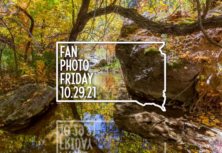 Fan Photo Friday | Oct. 29, 2021